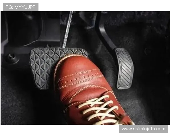 老司机档案游戏攻略助力车主轻松驾驭技巧提升与车辆养护全方位解析